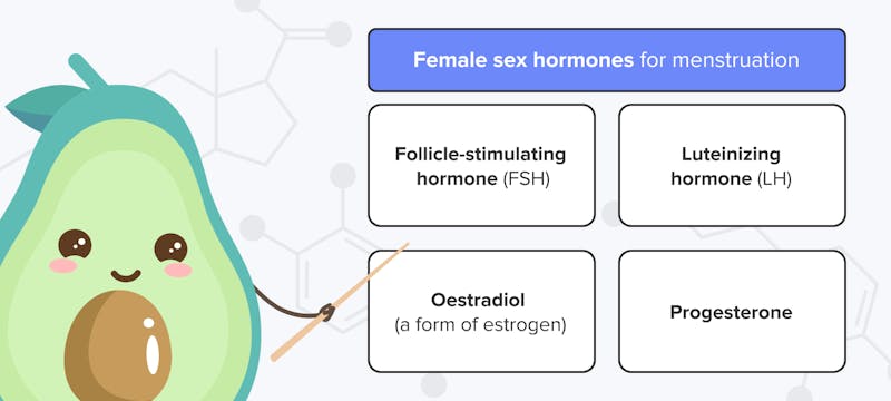Keto Diet And Menstrual Cycle: What to Know