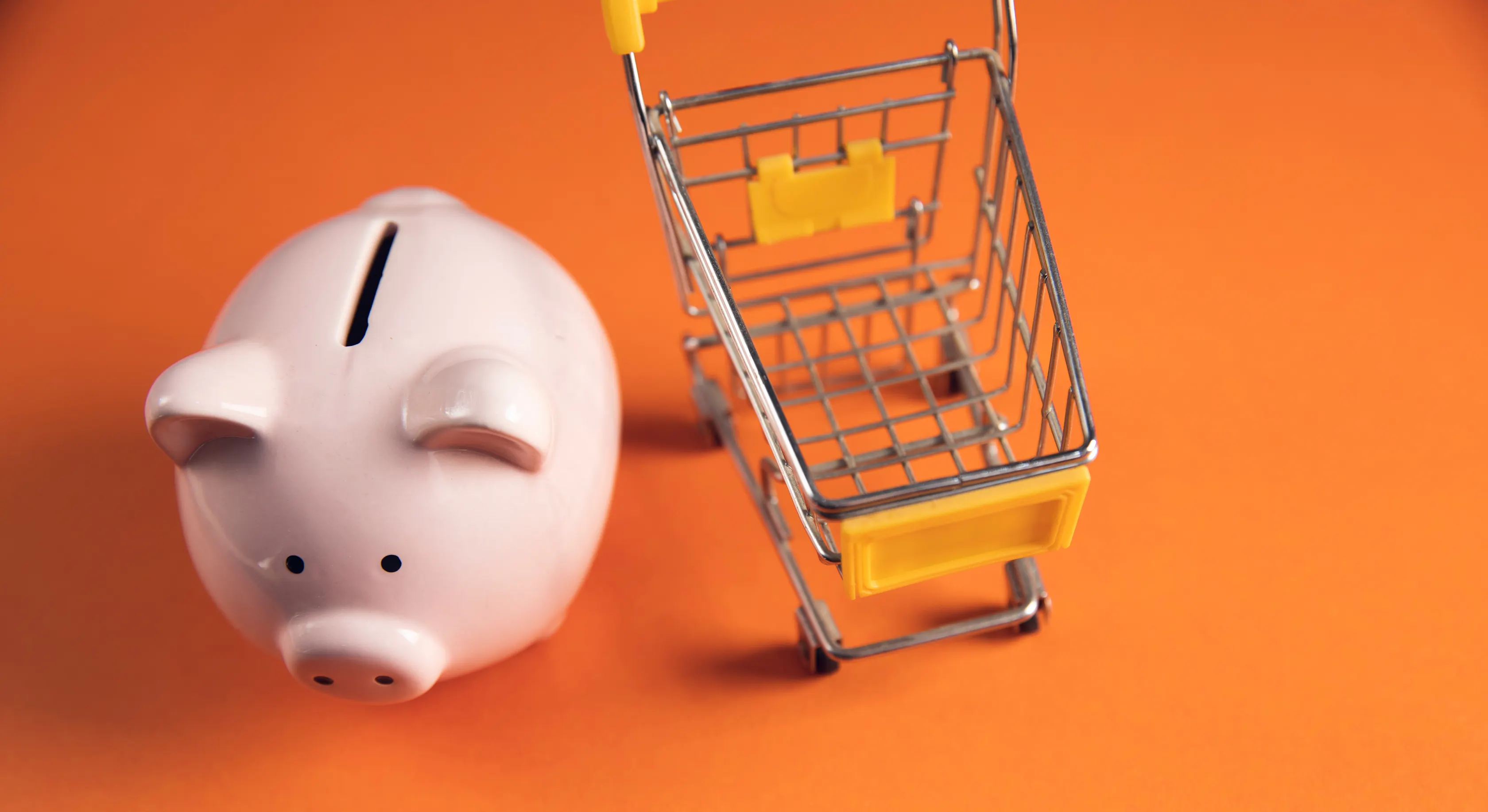 Keto on a Budget: A 7-Day Meal Plan, Grocery List, and Money-Saving Guide